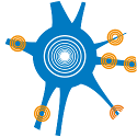 eegservices-20241022-103440.png
