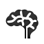 brain-20240917-065727.png